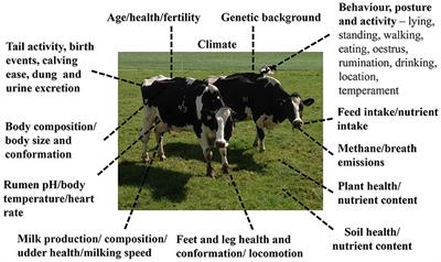 Novel Monitoring Systems to Obtain Dairy Cattle Phenotypes Associated With Sustainable Production